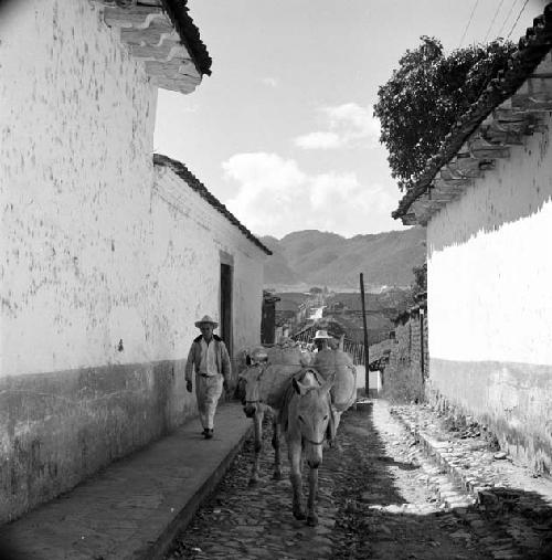 Street scene