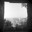 View from Temple IV at Tikal