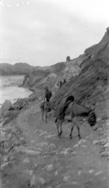 People and donkeys on path next to river