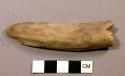 Antler fragment, possibly a flaker