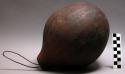 Gourd. used as water container, or canteen when travelling, 11"x8" with fiber ca