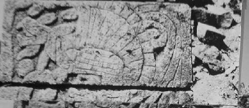 2D7. SE side of NE medial column.