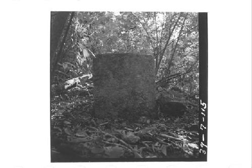 Small plain stela in center of court below Structure I