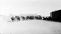 Caravan of camels in road by building