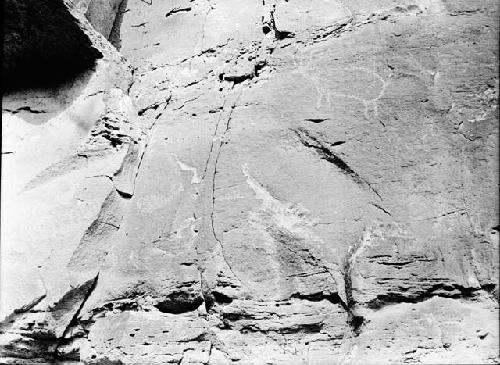 Pictograph, Zoomorphic. Willow A