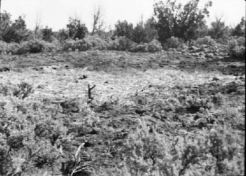 Site After Clearing, Kiva Depression In Foreground