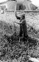 Woman working with a scythe in a walled garden area