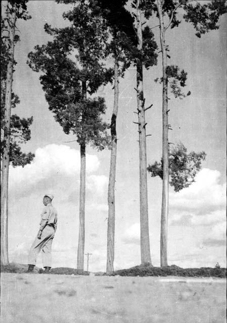 Man standing by trees