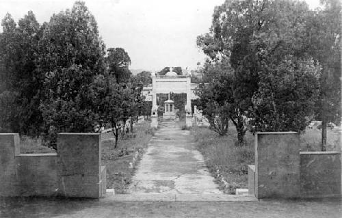 Pathway surrounded by trees