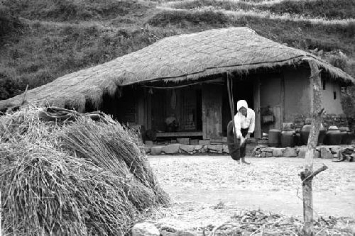 Woman working in front of hut with thatched roof; haystacks in foreground.