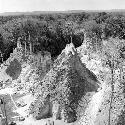 View from Temple I at Tikal