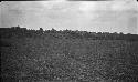 Obion group. Mound 2 from Southwest