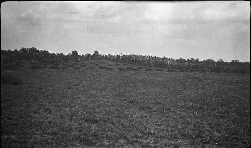 Obion group. Mound 2 from Southwest