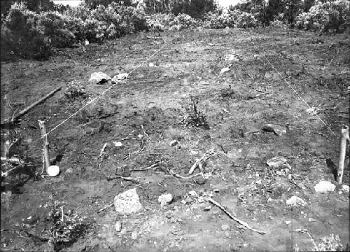 Refuse Mound After Clearing; Trench Lined Out For Excavation