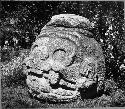 Stone sculpture, Jaguar head.  Ht. 85.0, Breadth 70.0, Depth 90.0 cms.