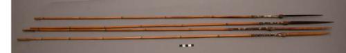 Bamboo arrows - broad tip with white at base of tip (approx. 45")