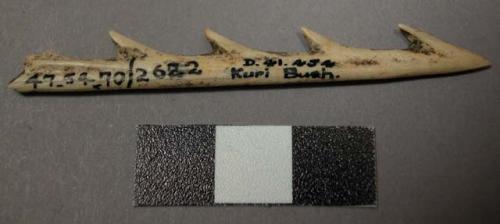 Bone bird spear point