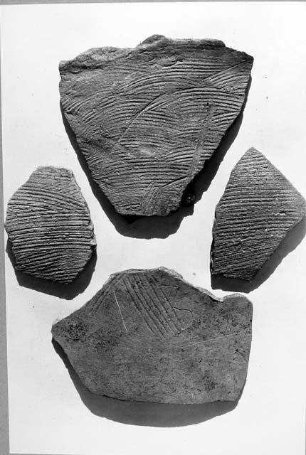 Rasp-textured sherds.