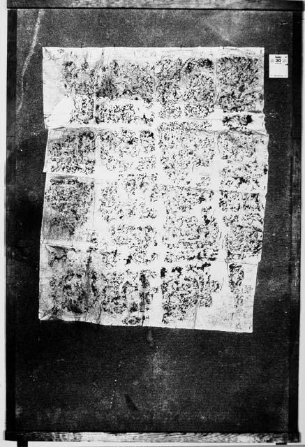 Stela 2, back (rubbings)