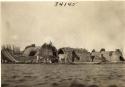 Village with animals and river in the foreground