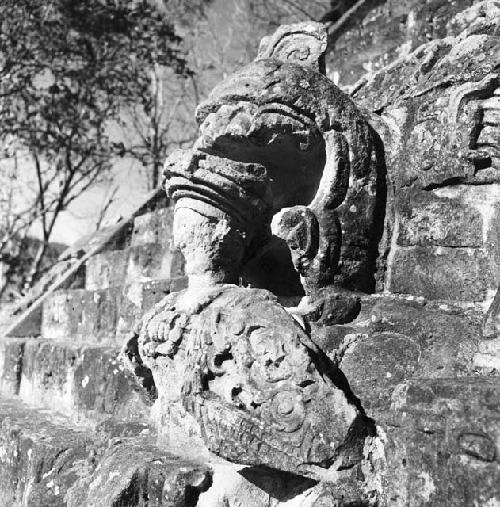 Detail of Hieroglyphic Stairway at Copan