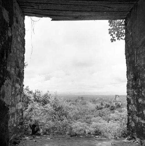 View from Temple IV at Tikal