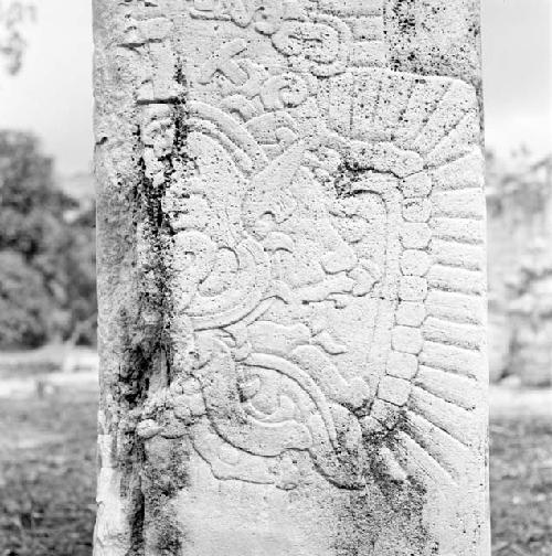 Stela at Tikal