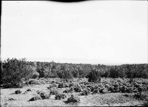 Mesa Verde from Dolores, Dove Creek Road