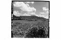 Panorama (10 pictures-360 [degrees]) of Main Group of ruins and outlying mounds,