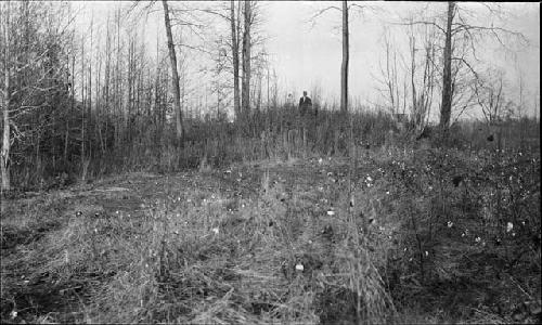 Mcadoo Mound -- from East and Southwest