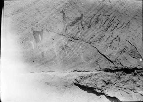 Pictographs, Zoomorphic on Northwest Wall of Canyon