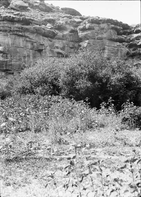 Cave overhang from road