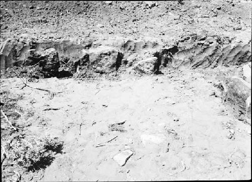 Trench Through Houses, Showing Standing Slabs of Central Slab Room