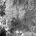 Sculpted boulders at El Baul