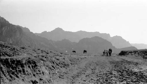 People and animals walking in mountains