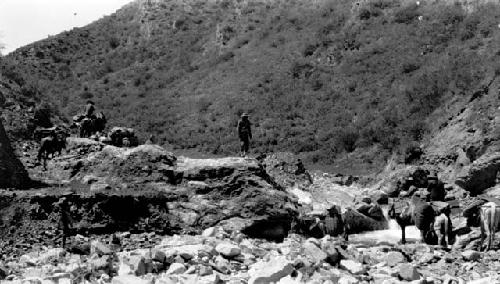 People and horses carrying packs on mountain