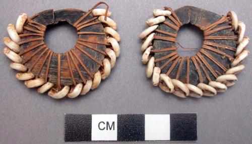 Set of earrings: rings of turtle shell edged with nasca shells