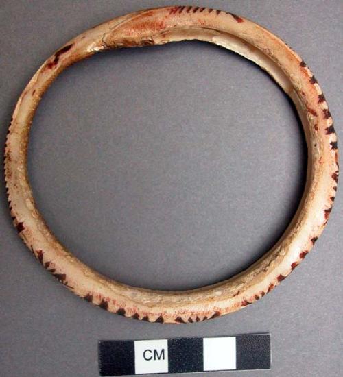 Shell arm rings