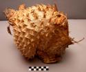 te barantauti (porcupine fish skin helmet)