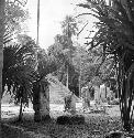 Stelae and Twin Pyramid Complex at Tikal