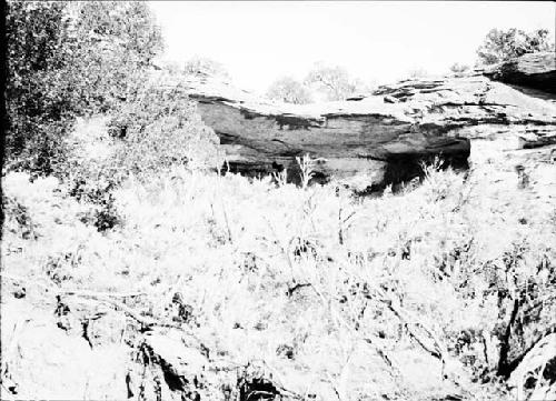 Alkali Ridge Landscape