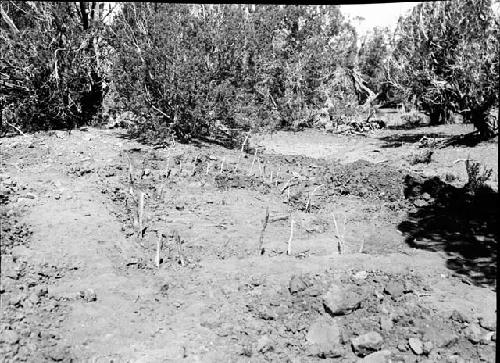 Room A, Sticks Making Posts