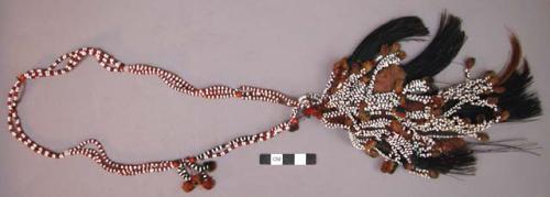Necklace with pendants brushes for blackening teeth