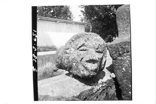 Stone head with Tenon (Human) (front and right side)