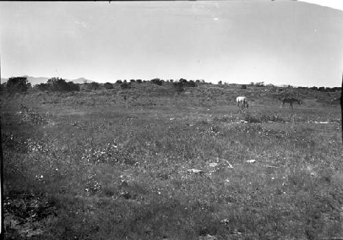 Mounds from the East