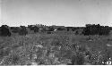 Ruin on Hill in Distance