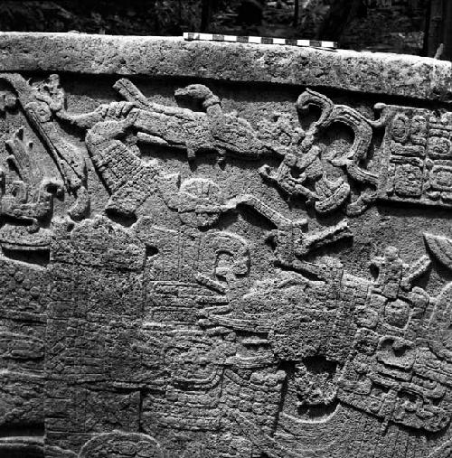 Detail of Stela 2 at Machaquila