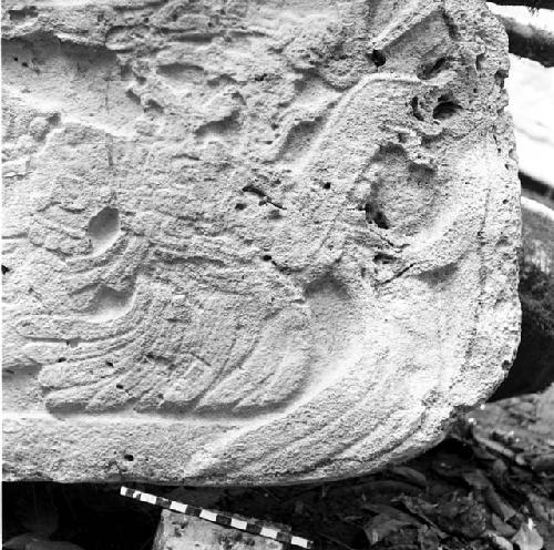 Detail of Stela 2 at Machaquila