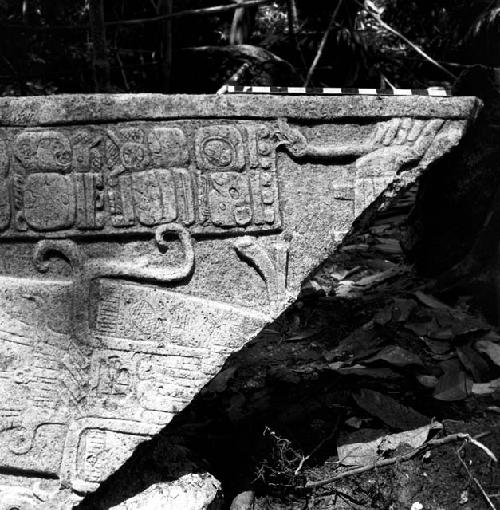 Fragment of Stela 4 at Machaquila