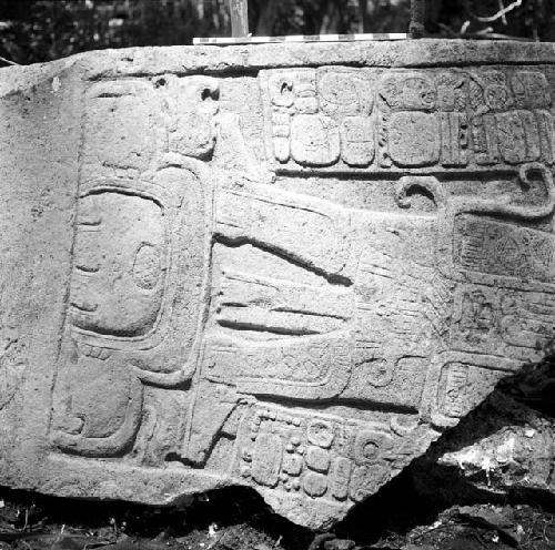 Fragment of Stela 4 at Machaquila